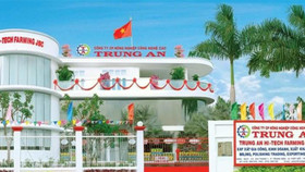 Ngụp lặn trong khó khăn, Gạo Trung An giải thể hai công ty con