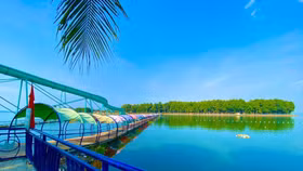 Đảo Ó - Đồng Trường là điểm du lịch sinh thái nổi tiếng nằm giữa lòng hồ Trị An