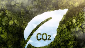 Vận hành thí điểm sàn giao dịch carbon Việt Nam từ tháng 6