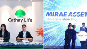 Thanh tra phát hiện sai phạm tại Bảo hiểm Mirae Asset Prévoir và Cathay Việt Nam