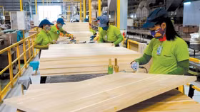 Việt Nam đã vươn lên đứng thứ 5 thế giới về tổng kim ngạch xuất khẩu gỗ và các sản phẩm về gỗ