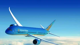 Vietnam Airlines, Becamex TDC, Ô tô TMT… bị nghi ngờ khả năng hoạt động liên tục