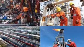 Phó Thủ tướng yêu cầu đẩy mạnh xử lý điểm nghẽn trong tái cơ cấu hoạt động doanh nghiệp Nhà nước