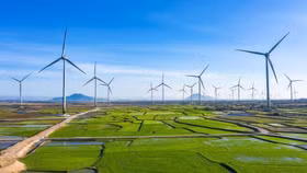 Trungnam Group lỗ gần 2.900 tỷ đồng, ôm khối nợ hơn 65.000 tỷ 