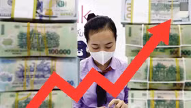 Lãi suất huy động kỳ hạn 3 tháng ngân hàng nào cao nhất tháng 12/2024?