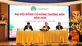 Năm 2024 là năm thứ 3 liên tiếp, công ty mẹ Vinafood 2 kinh doanh có lãi