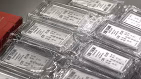 Đổ xô mua bạc theo tâm lý FOMO, nhà đầu tư nhỏ lẻ đối diện rủi ro kép