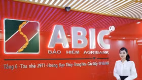 Thiệt hại từ bão Yagi, Bảo hiểm Agribank báo lỗ hơn 20 tỷ đồng
