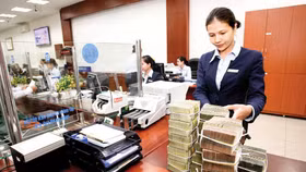 Ngân hàng Nhà nước tăng cường giám sát hoạt động kiểm toán ngân hàng