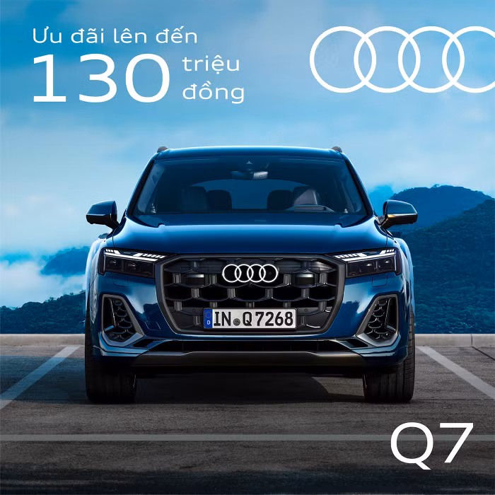 q7-1x1-copy.jpg