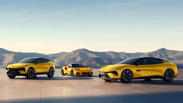 lotus-line-up-3.jpg