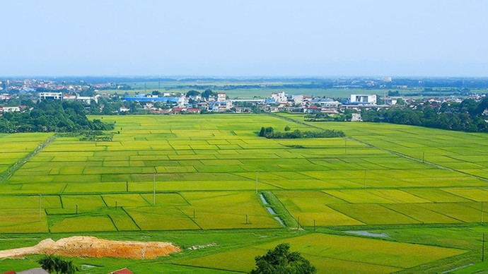 Chính phủ chính thức ban hành Nghị định số 49/2026/NĐ-CP quy định chi tiết và hướng dẫn thi hành một số điều của Nghị quyết 254/2025/QH15 của Quốc hội