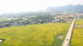 Ảnh minh hoạ