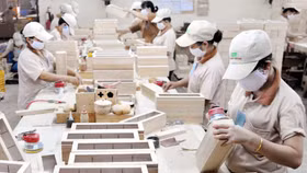 Ngành gỗ Việt Nam trước ngã rẽ mới