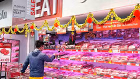 Giá nông sản hôm nay (20/3): Giá lợn hơi đồng loạt tăng mạnh ở cả 3 miền