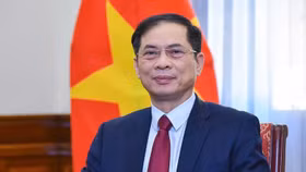 Phó Thủ tướng Chính phủ Bùi Thanh Sơn làm Tổ trưởng Tổ công tác về tăng cường hợp tác, chủ động thích ứng với điều chỉnh chính sách kinh tế, thương mại của Mỹ