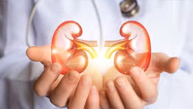 Các xét nghiệm đánh giá chức năng thận phổ biến hiện nay 