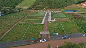 Từ 31/1/2026, bảng giá đất được sửa đổi trong những trường hợp nào?