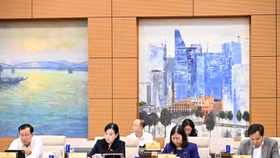 Chủ nhiệm Ủy ban Kinh tế và Tài chính Phan Văn Mãi cho ý kiến tại phiên họp