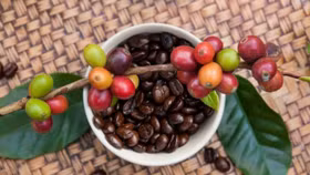 Giá nông sản hôm nay (11/7): Cà phê bất ngờ giảm, hồ tiêu giữ ổn định