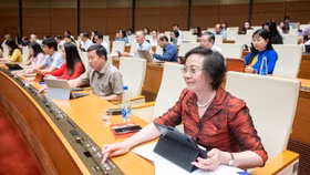 Đại biểu Quốc hội bấm nút thông qua luật Cán bộ, công chức sửa đổi