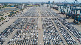 Thị trường xe ô tô Việt Nam đã có một năm 2025 bùng nổ về doanh số