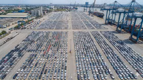 Thị trường xe ô tô Việt Nam đã có một năm 2025 bùng nổ về doanh số