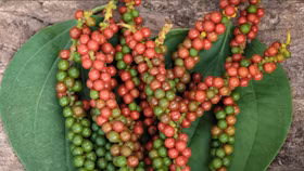 Giá nông sản hôm nay (6/11): Giá cà phê giảm nhẹ, hồ tiêu đi ngang