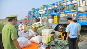 Thủ tướng chỉ đạo xử lý nghiêm cán bộ, công chức, sĩ quan "bảo kê", tiếp tay cho hàng giả
