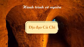 Khám phá Địa đạo Củ Chi: Lặng bước giữa lòng đất, lắng nghe tiếng vọng non sông