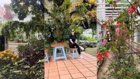 Biệt thự ngập tràn hoa lá, cỏ cây của người đẹp Thân Thuý Hà