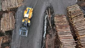Gỗ là một trong những mặt hàng chính mà Mỹ nhập khẩu từ Canada. Ảnh: Reuters