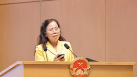 Bà Ninh Thị Ty, Anh hùng Lao động, Chủ tịch HĐQT Công ty Cổ phần Tập đoàn Hồ Gươm phát biểu tại Hội nghị