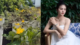 Biệt thự 1.000m2 ngập tràn sắc xanh của diễn viên Vân Trang
