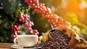 Giá nông sản hôm nay (21/7): Giá cà phê đi ngang, hồ tiêu tiếp tục giảm