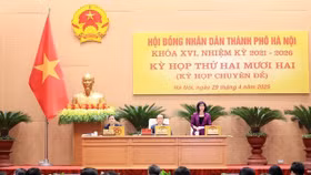 Toàn cảnh phiên họp