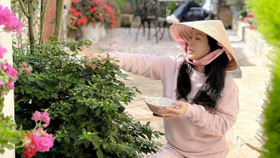 Mãn nhãn với dinh thự tráng lệ tại Đà Lạt của "nàng Hậu thơm nhất Việt Nam"