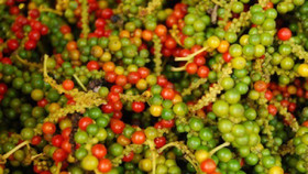 Giá nông sản hôm nay (2/12): Giá cà phê và hồ tiêu đồng loạt giảm mạnh
