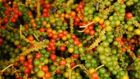 Giá nông sản hôm nay (2/12): Giá cà phê và hồ tiêu đồng loạt giảm mạnh