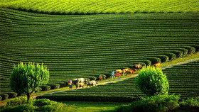Gợi ý những địa điểm du lịch không thể bỏ lỡ vào tháng 10