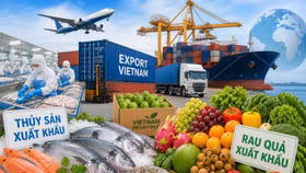 Xuất khẩu thủy sản, rau quả năm 2026 dự kiến có thể tăng thêm 2 tỷ USD