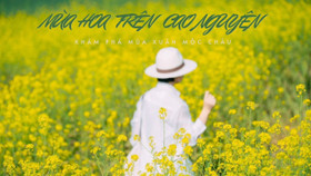 Lên Mộc Châu mùa hoa mận nở, hoa cải vàng: Kinh nghiệm khám phá mùa xuân trên cao nguyên