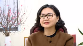 Cục trưởng Cục An toàn thực phẩm Trần Việt Nga 