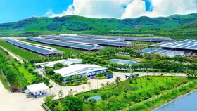 Hệ thống năng lượng mặt trời lắp đặt tại các nhà máy của Vinamilk