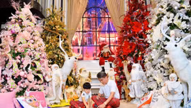  Choáng ngợp căn biệt thự trăm tỷ đồng ở TP.HCM của Đàm Vĩnh Hưng