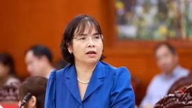 Bà Đoàn Thị Thanh Mỹ, Phó Cục trưởng Cục Quản lý đất đai 