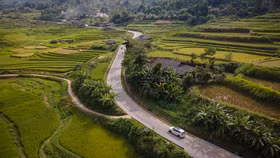 Thị trường ô tô Việt 2025: Mở đầu kỷ nguyên hybrid lên ngôi