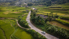 Thị trường ô tô Việt 2025: Mở đầu kỷ nguyên hybrid lên ngôi