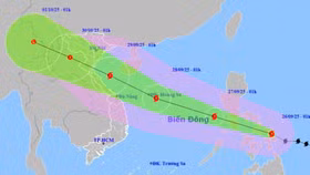 Hướng di chuyển của bão Bualoi