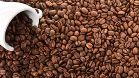 Giá cà phê tuần qua tăng mạnh từ 4.300 - 4.500 đồng/kg